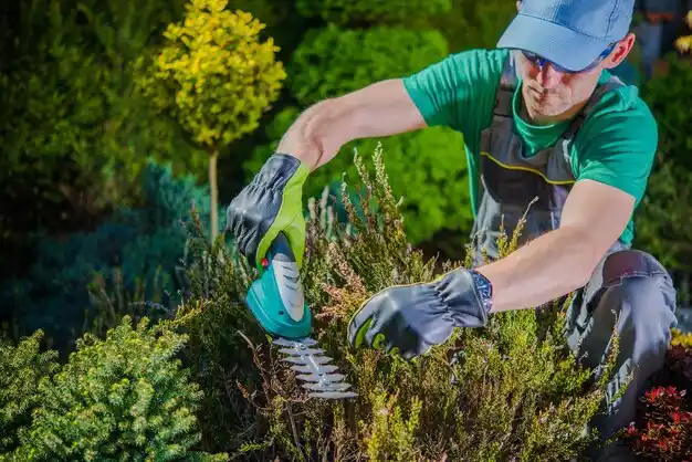 landscaping services Five Points